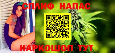 стаф Гагарин