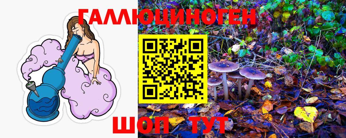 Галлюциногенные грибы Magic Shrooms Гусиноозёрск