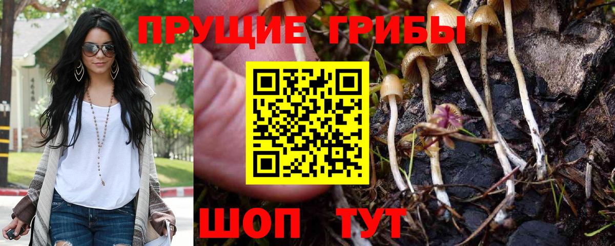 Галлюциногенные грибы прущие грибы  купить наркоту  Гусиноозёрск  Вход с VPN  Галлюциногенные грибы Cubensis 